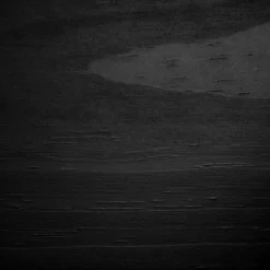 Induzy Solid Wood Bunk Beds Matte Black - South Shore -Kids Furniture Shop GUEST 434e89c4 0424 4882 803c 016cb10613e9