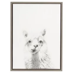 24" X 18" Alpaca Framed Canvas Art - Uniek -Kids Furniture Shop GUEST bd86ad66 d695 4b4e aa16 063fe31cd520